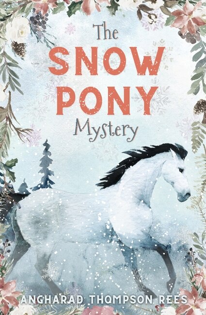 Front cover_The Snow Pony Mystery
