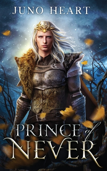 Front cover_Prince Of Never