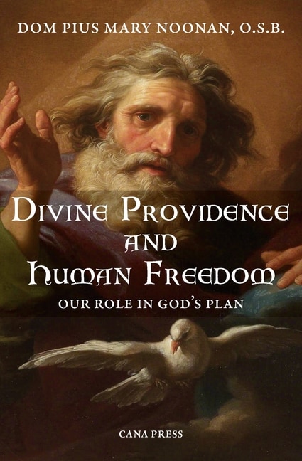 Front cover_Divine Providence And Human Freedom