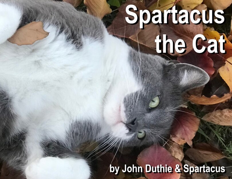 Couverture_Spartacus the Cat