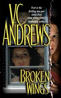 Front cover_Broken Wings