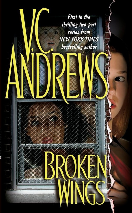Front cover_Broken Wings