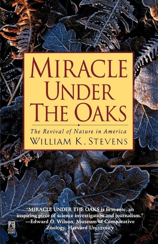 Front cover_Miracle Under the Oaks