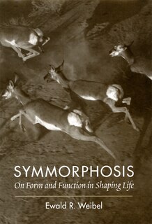 Couverture_Symmorphosis