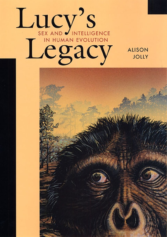 Front cover_Lucy's Legacy