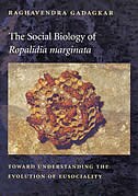Front cover_Social Biology of Ropalidia marginata