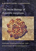 Front cover_Social Biology of Ropalidia marginata