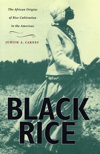 Couverture_Black Rice