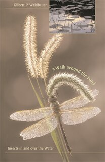 Front cover_Walk around the Pond