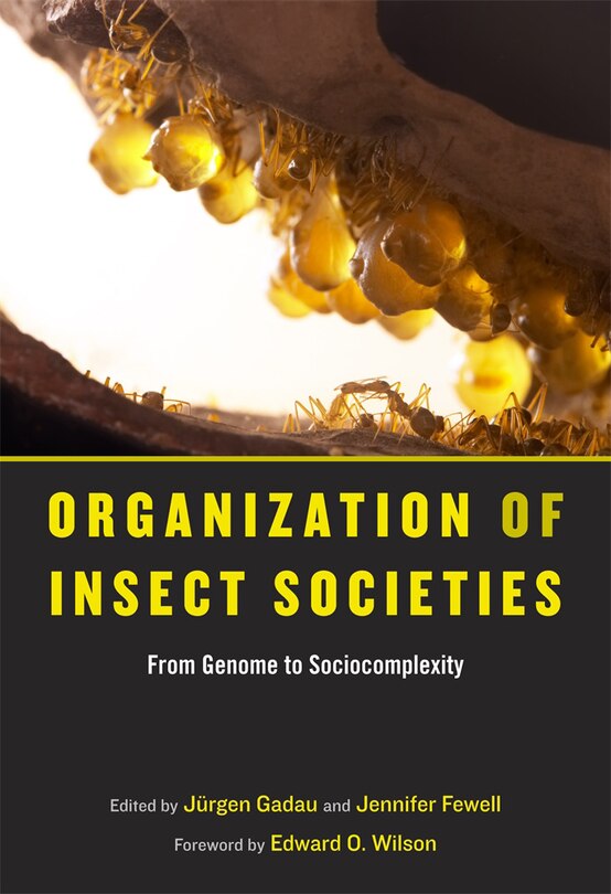 Front cover_Organization of Insect Societies
