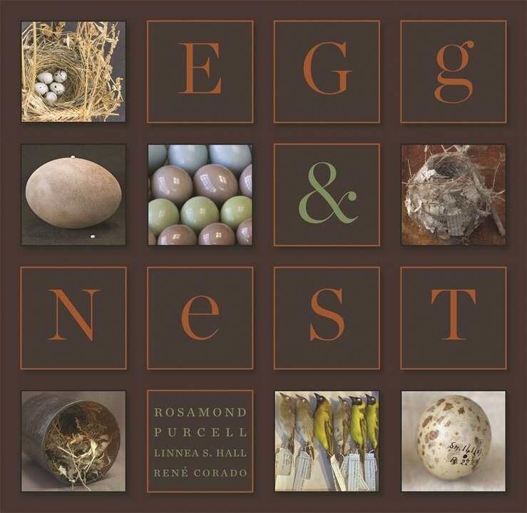 Couverture_Egg & Nest