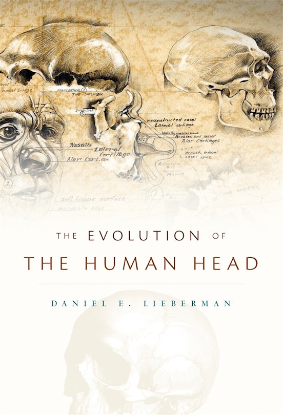 Couverture_Evolution of the Human Head