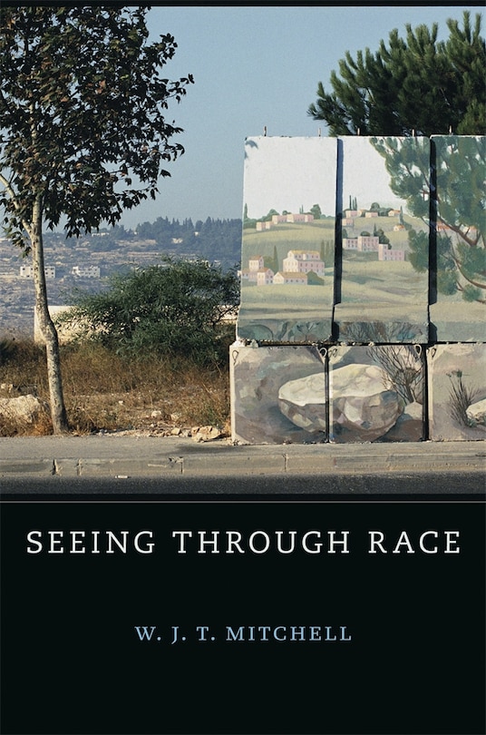 Front cover_Seeing Through Race