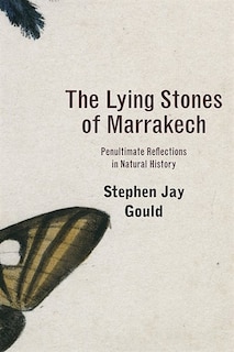 Couverture_The Lying Stones of Marrakech