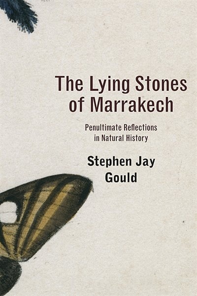 Couverture_The Lying Stones of Marrakech
