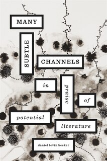 Front cover_Many Subtle Channels