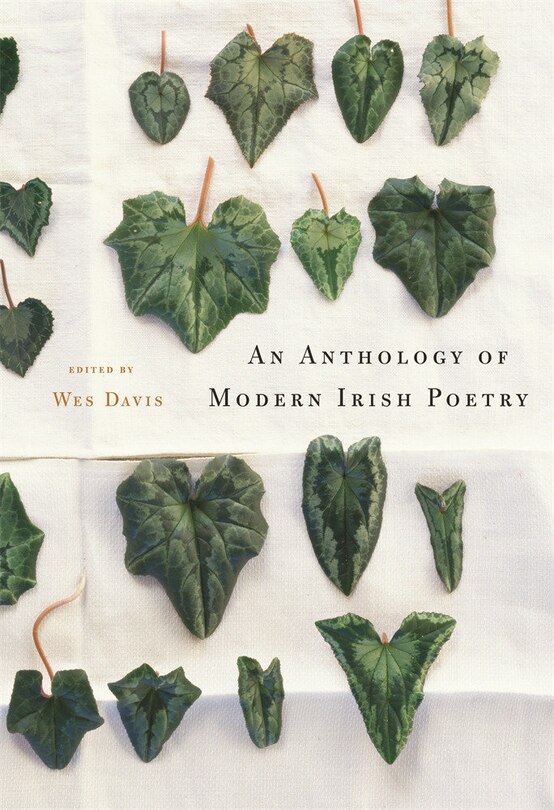An Anthology of Modern Irish Poetry image number 0