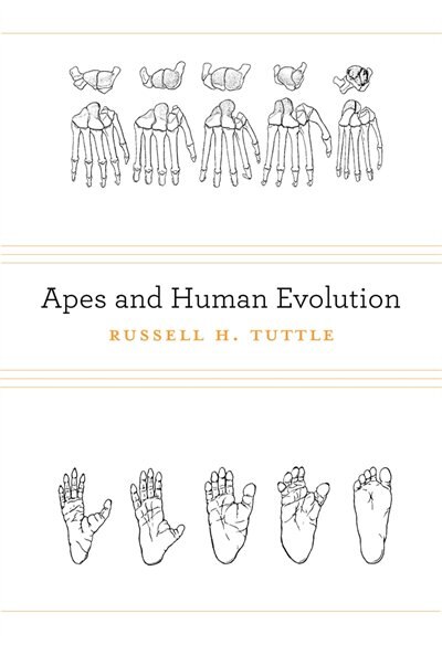 Front cover_Apes And Human Evolution