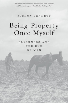 Being Property Once Myself: Blackness And The End Of Man