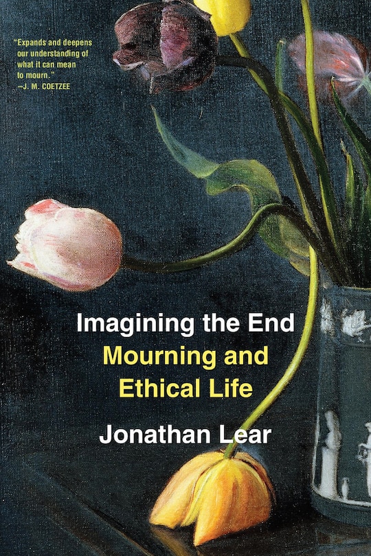 Front cover_Imagining the End