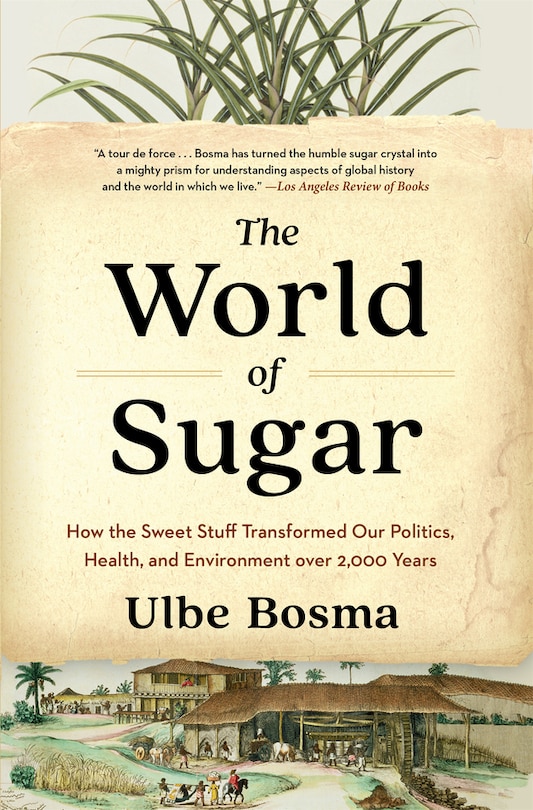 Couverture_World of Sugar