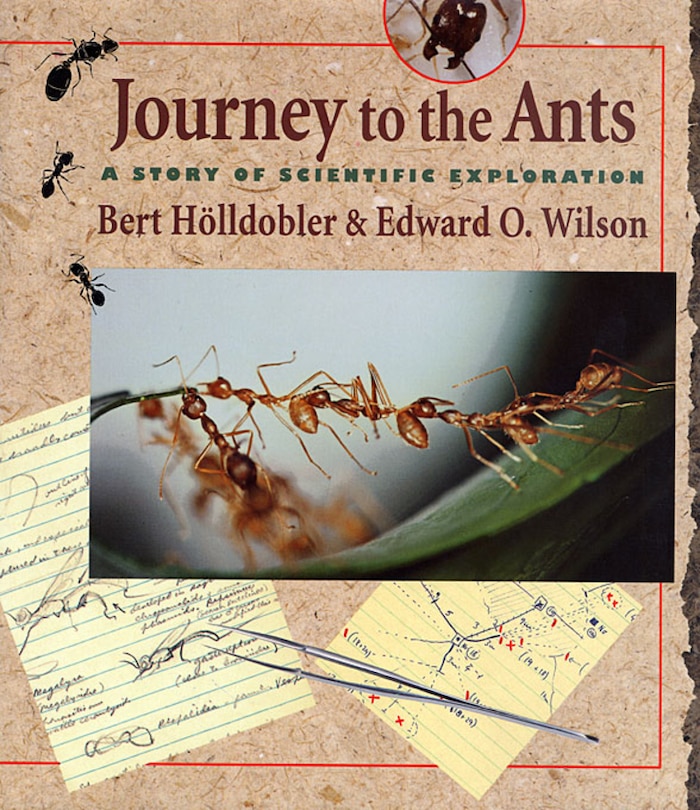 Front cover_Journey to the Ants