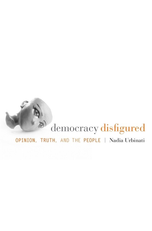Front cover_Democracy Disfigured