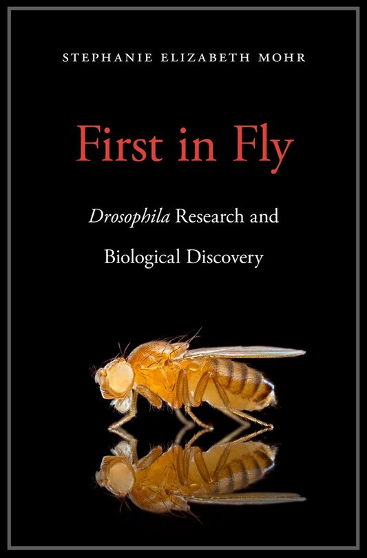Front cover_First in Fly