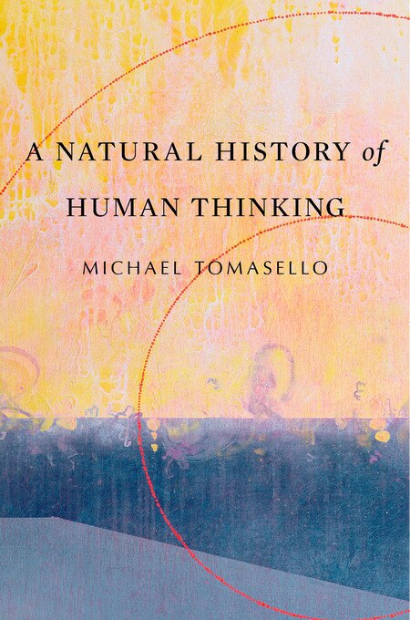 Couverture_Natural History of Human Thinking