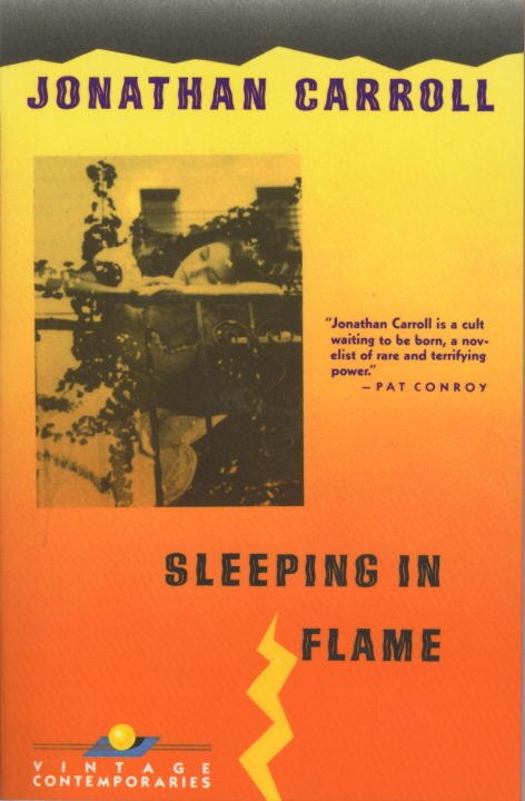 Front cover_Sleeping In Flame
