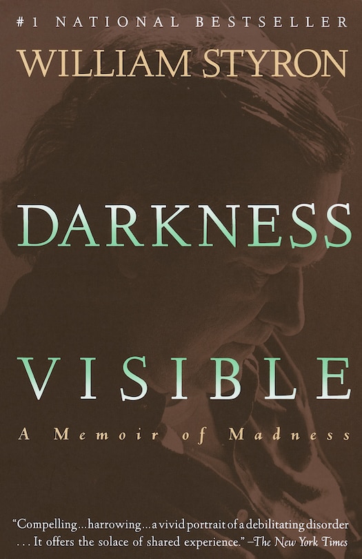 Front cover_Darkness Visible