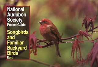 Couverture_National Audubon Society Pocket Guide To Songbirds And Familiar Backyard Birds: Eastern Region
