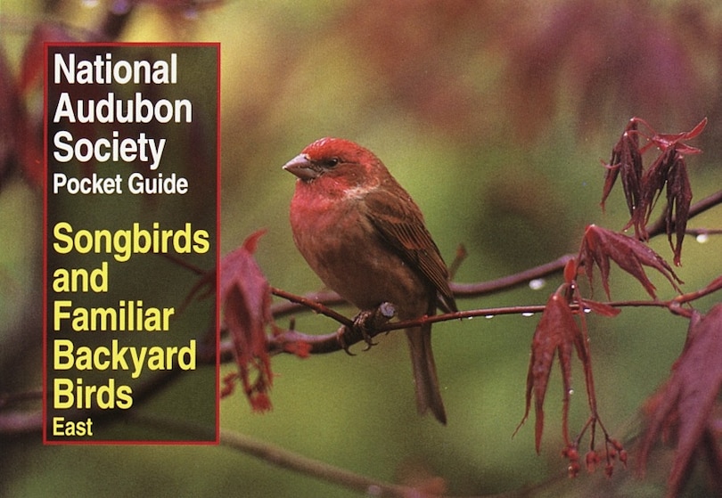 Couverture_National Audubon Society Pocket Guide To Songbirds And Familiar Backyard Birds: Eastern Region