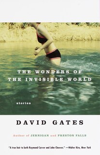 Front cover_The Wonders Of The Invisible World