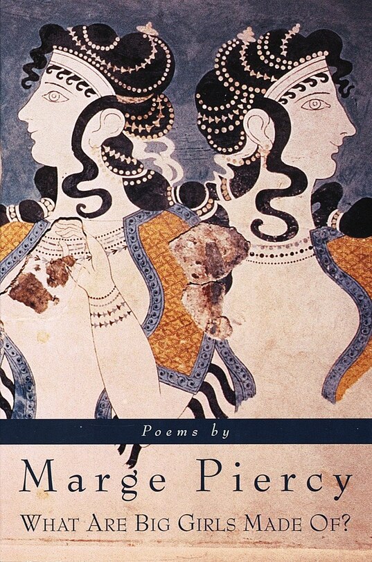 Front cover_What Are Big Girls Made Of?