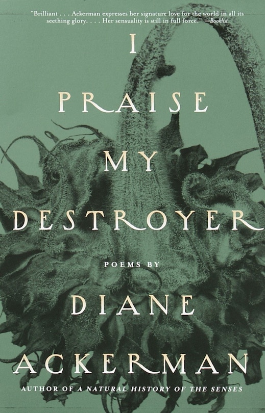 Front cover_I Praise My Destroyer
