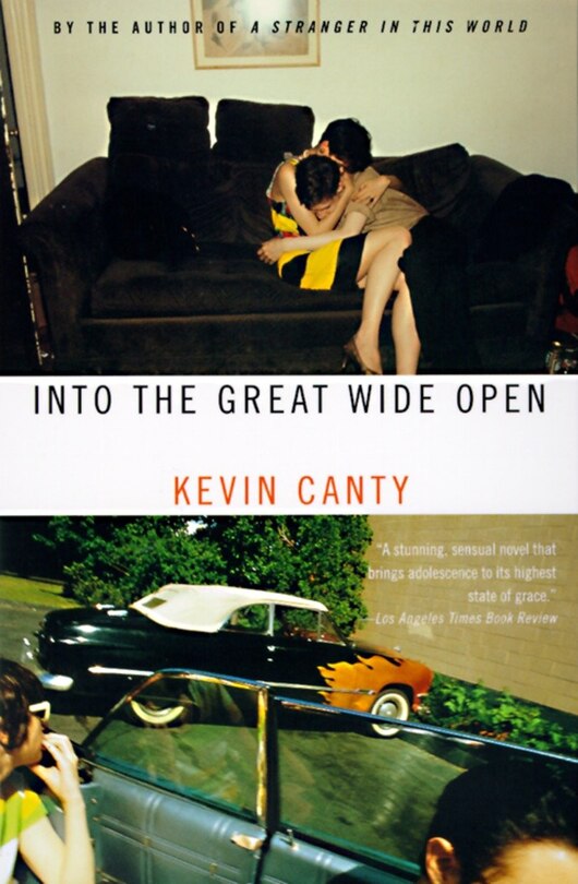 Front cover_Into The Great Wide Open