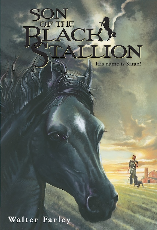 Front cover_Son Of The Black Stallion