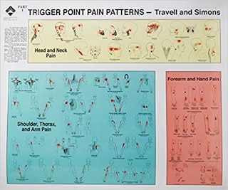 Front cover_Travell And Simons' Trigger Point Pain Patterns Wall Charts