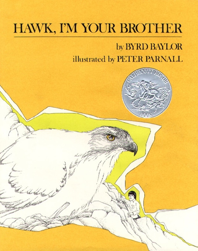 Front cover_Hawk, I'm Your Brother