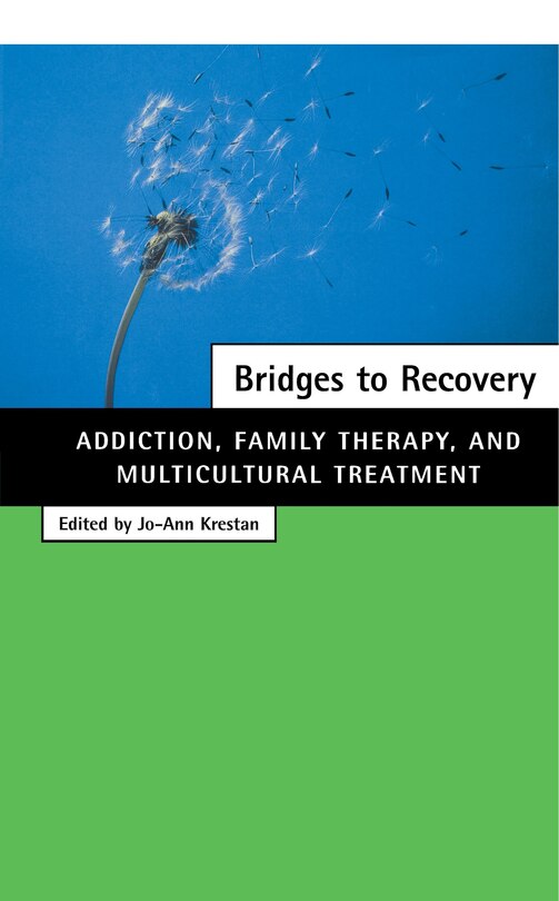 Front cover_Bridges to Recovery