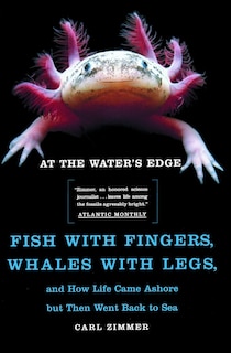 Couverture_At the Water's Edge