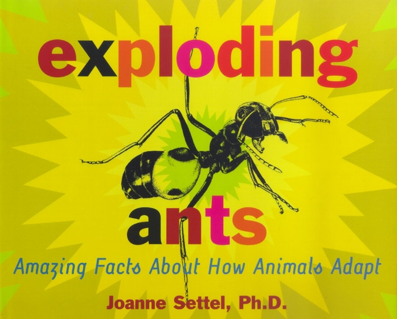 Front cover_Exploding Ants