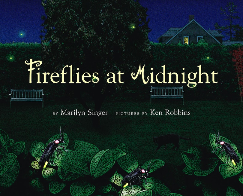 Fireflies at Midnight