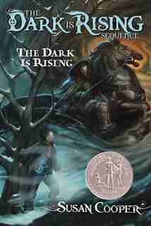 Dark Is Rising by Susan Cooper