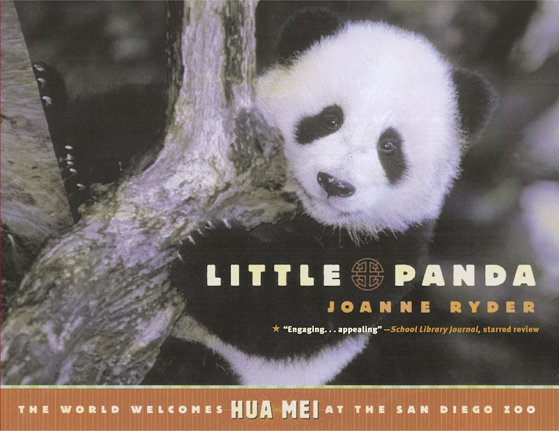 Couverture_Little Panda