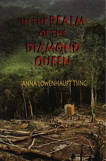Couverture_In the Realm of the Diamond Queen