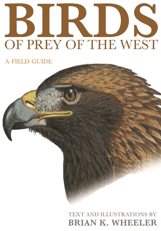 Front cover_Birds of Prey of the West