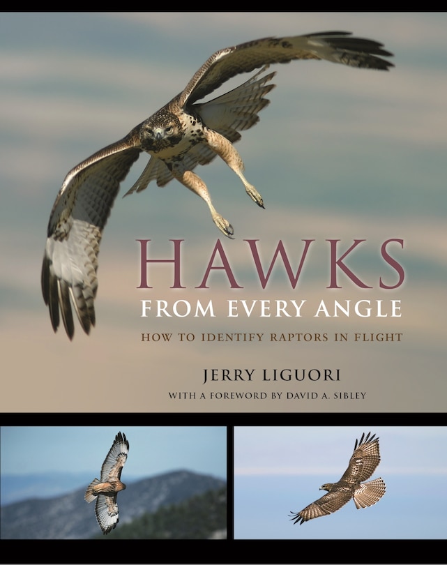 Front cover_Hawks from Every Angle