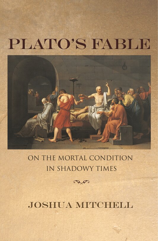 Couverture_Plato's Fable